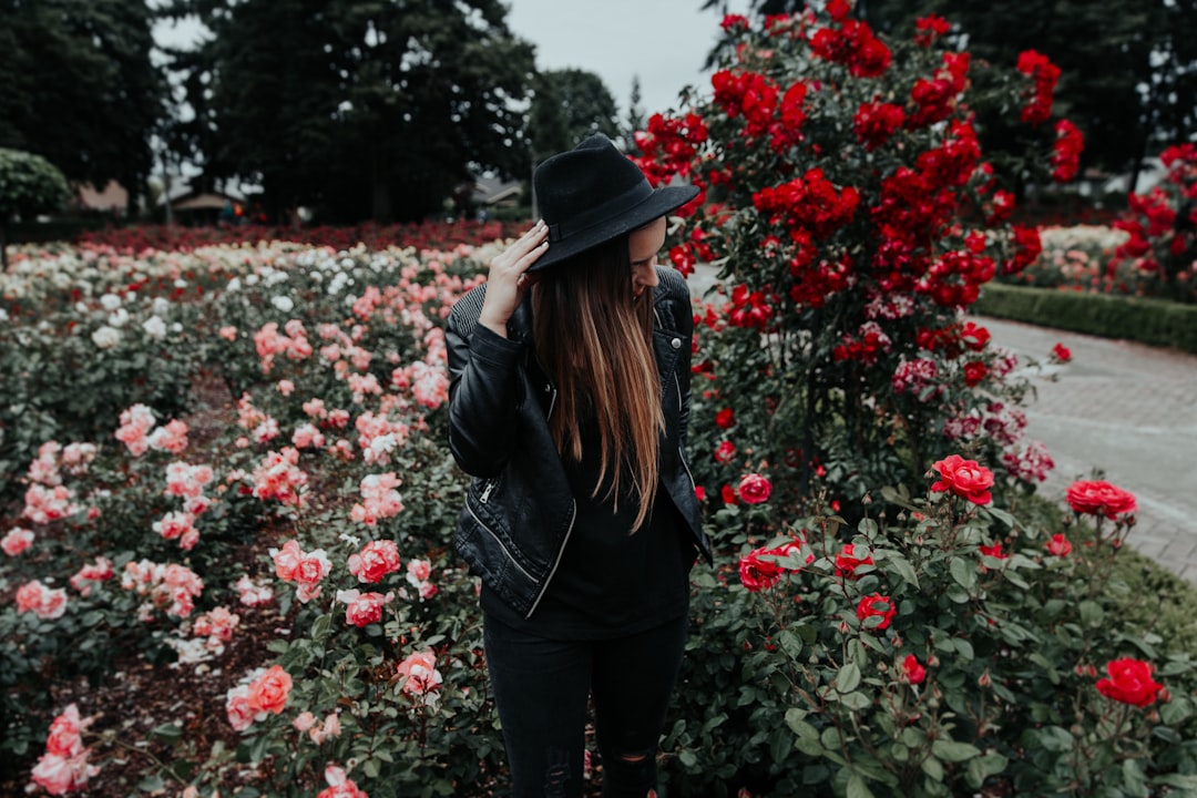 Photo Roses, Garden