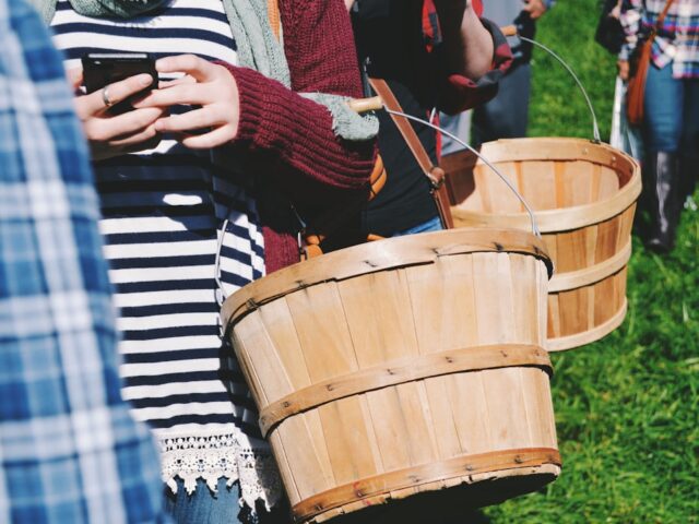 Photo Apple picking