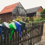 Photo Watering can