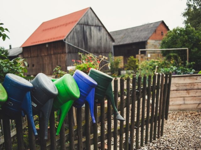 Photo Watering can