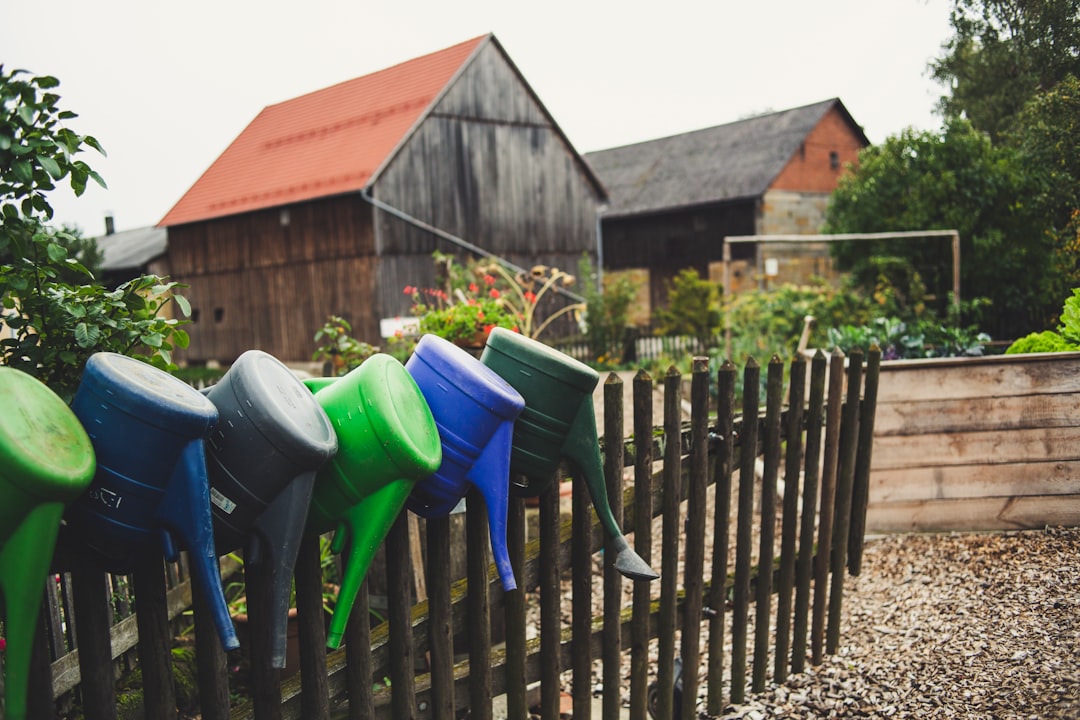 Photo Watering can