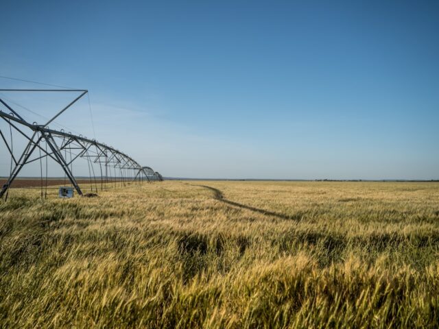 Photo Spraying field