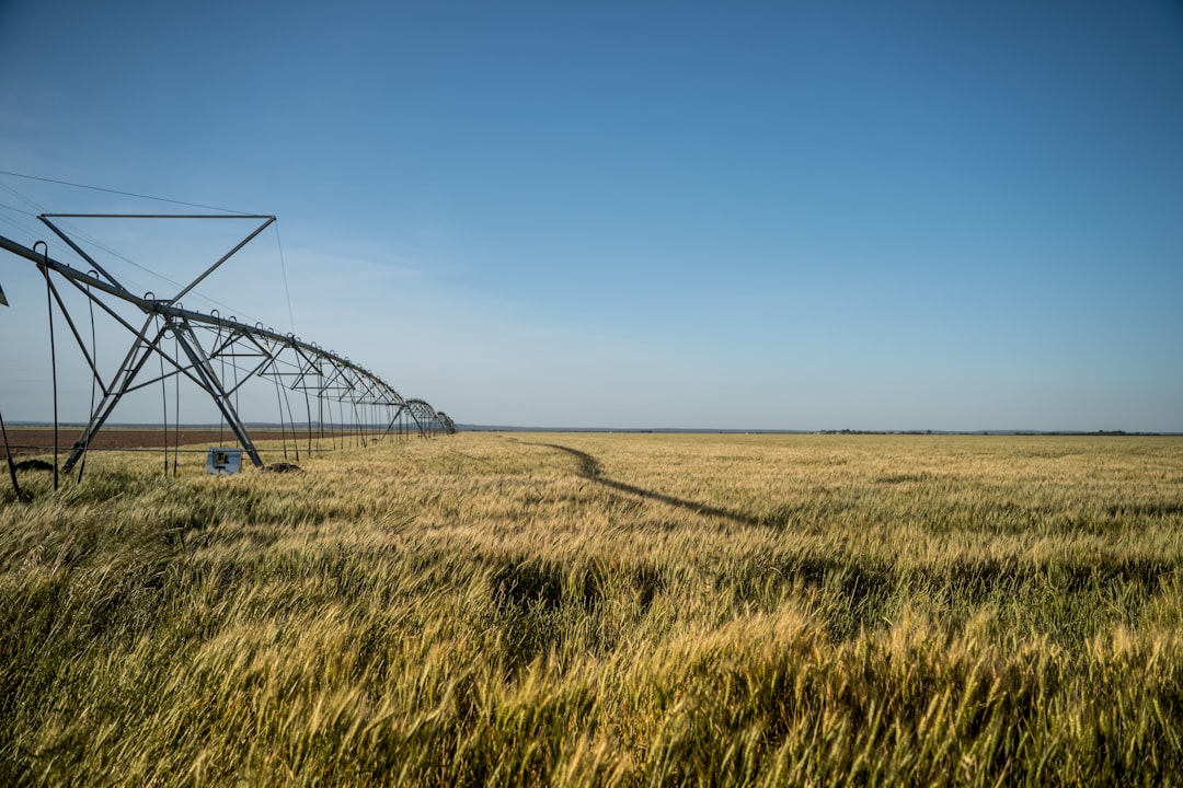 Photo Spraying field