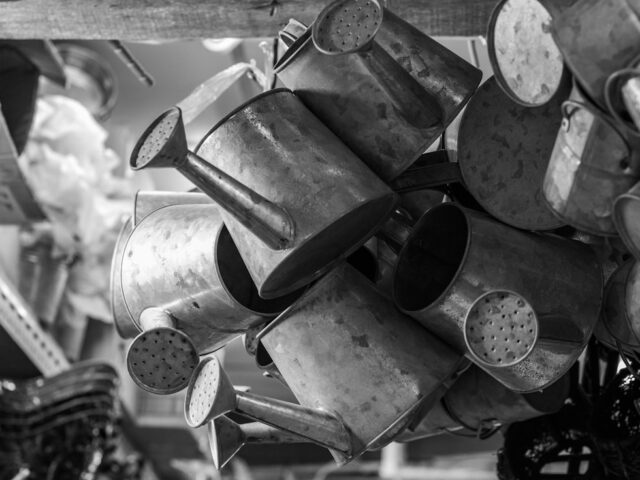 Photo Watering can