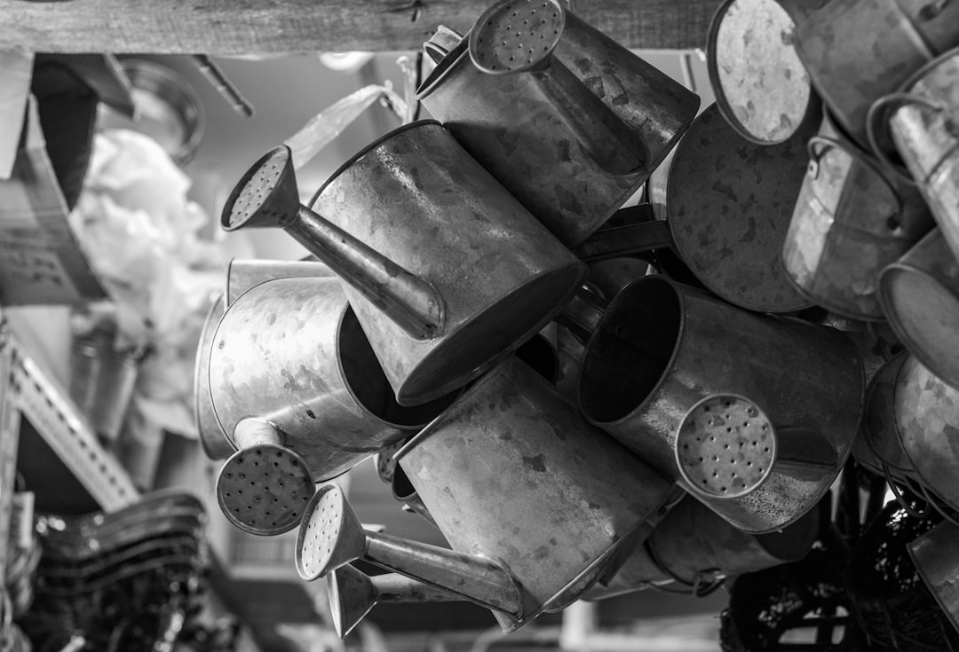 Photo Watering can