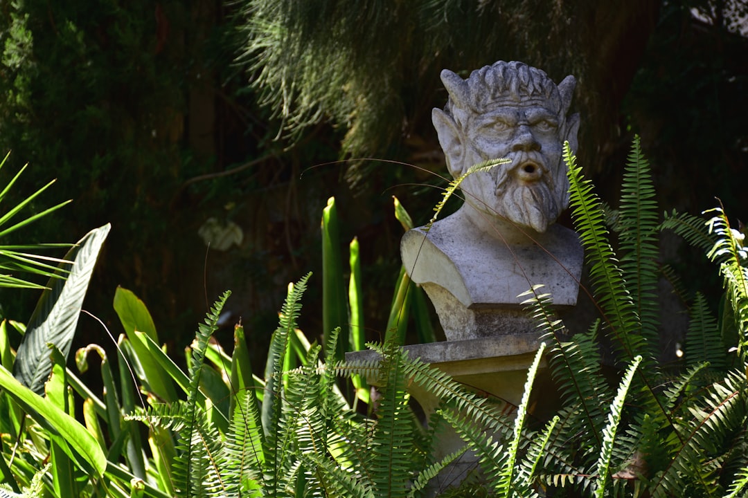 Photo Shade garden