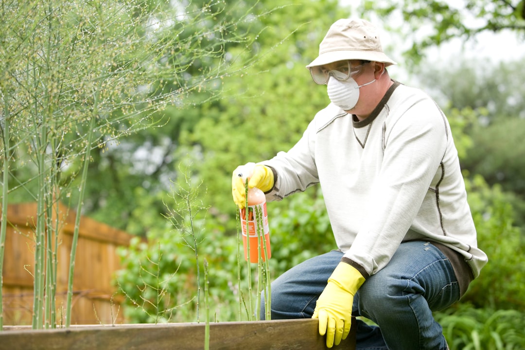 Photo Organic fertilizer