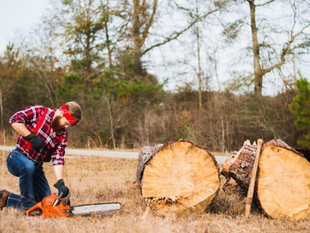 Photo Chainsaw