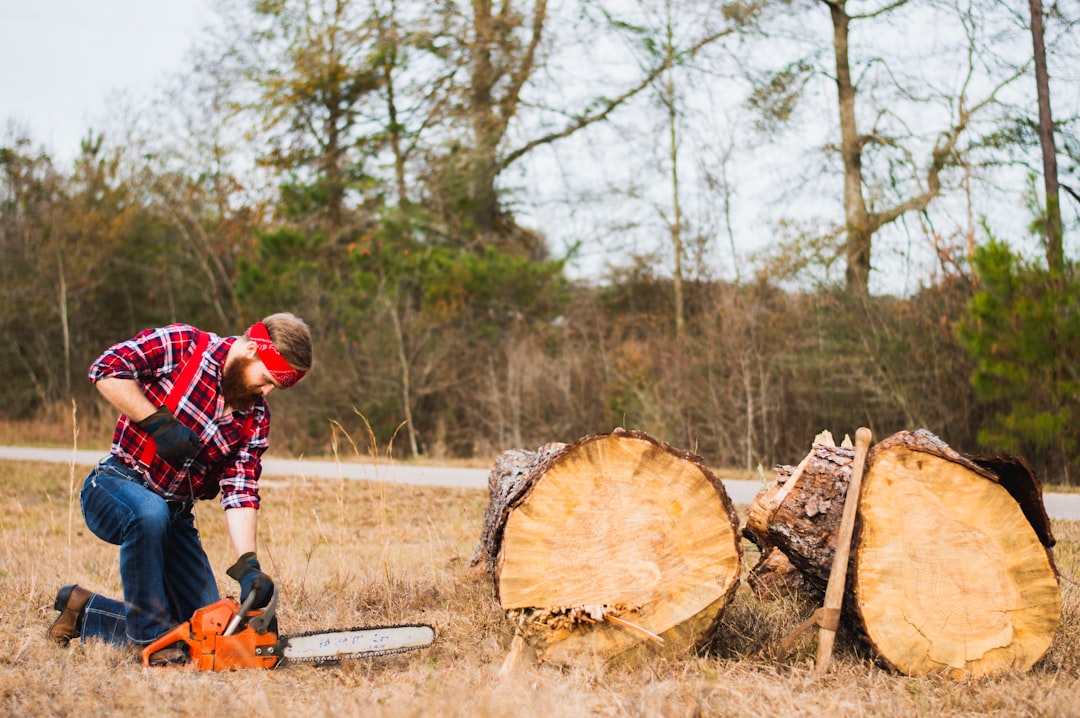 Photo Chainsaw