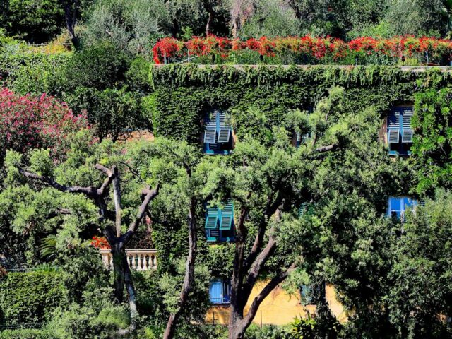 Photo balcony flowers